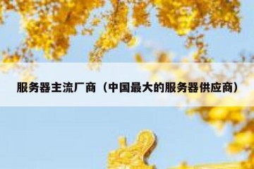 服务器主流厂商（中国最大的服务器供应商）