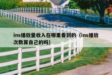 ins播放量收入在哪里看到的（ins播放次数算自己的吗）