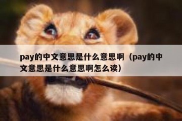 pay的中文意思是什么意思啊（pay的中文意思是什么意思啊怎么读）