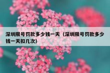 深圳限号罚款多少钱一天（深圳限号罚款多少钱一天扣几次）