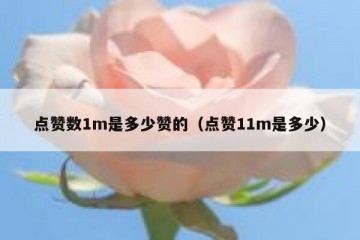 点赞数1m是多少赞的（点赞11m是多少）