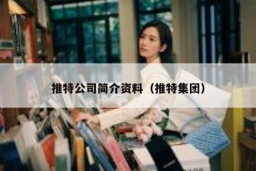 推特公司简介资料（推特集团）