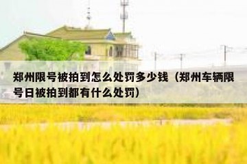 郑州限号被拍到怎么处罚多少钱（郑州车辆限号日被拍到都有什么处罚）