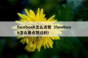 facebook怎么点赞（facebook怎么看点赞过的）