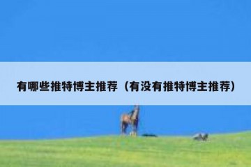 有哪些推特博主推荐（有没有推特博主推荐）