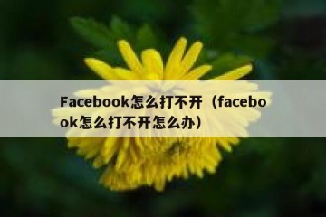 Facebook怎么打不开（facebook怎么打不开怎么办）