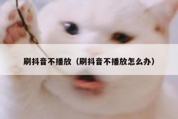 刷抖音不播放（刷抖音不播放怎么办）