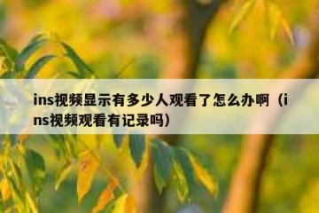 ins视频显示有多少人观看了怎么办啊（ins视频观看有记录吗）