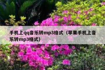 手机上qq音乐转mp3格式（苹果手机上音乐转mp3格式）