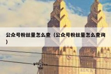 公众号粉丝量怎么查（公众号粉丝量怎么查询）
