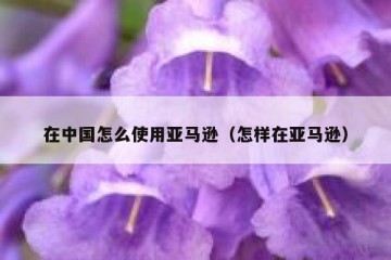 在中国怎么使用亚马逊（怎样在亚马逊）