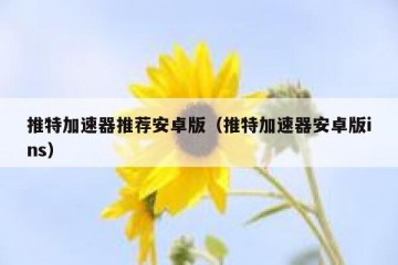 推特加速器推荐安卓版（推特加速器安卓版ins）