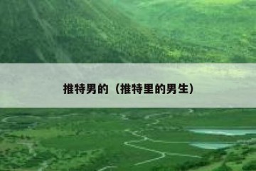 推特男的（推特里的男生）