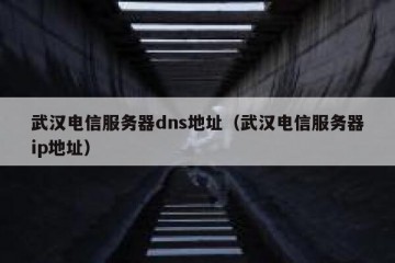 武汉电信服务器dns地址（武汉电信服务器ip地址）