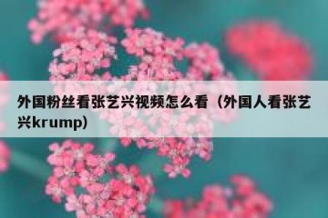 外国粉丝看张艺兴视频怎么看（外国人看张艺兴krump）