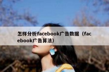 怎样分析facebook广告数据（facebook广告算法）