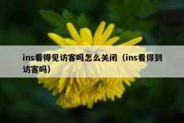 ins看得见访客吗怎么关闭（ins看得到访客吗）