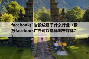 facebook广告投放属于什么行业（投放facebook广告可以选择哪些媒体?）