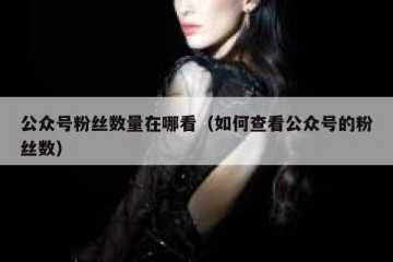 公众号粉丝数量在哪看（如何查看公众号的粉丝数）