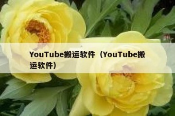 YouTube搬运软件（YouTube搬运软件）