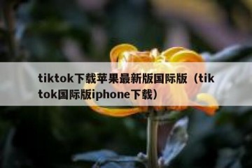tiktok下载苹果最新版国际版（tiktok国际版iphone下载）