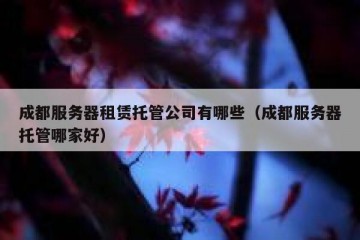 成都服务器租赁托管公司有哪些（成都服务器托管哪家好）