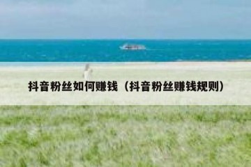 抖音粉丝如何赚钱（抖音粉丝赚钱规则）