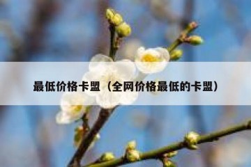 最低价格卡盟（全网价格最低的卡盟）