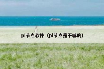 pi节点软件(pi节点是干嘛的)
