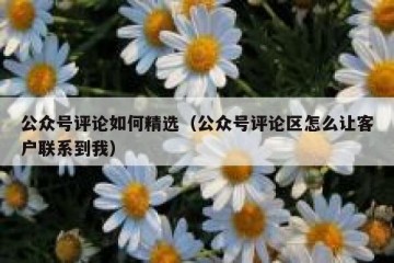 公众号评论如何精选（公众号评论区怎么让客户联系到我）