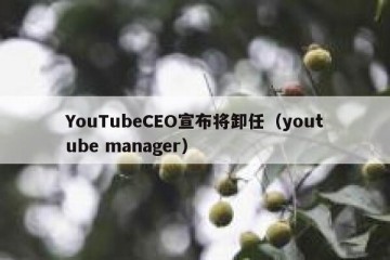 YouTubeCEO宣布将卸任（youtube manager）