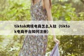 tiktok跨境电商怎么入驻（tiktok电商平台如何注册）