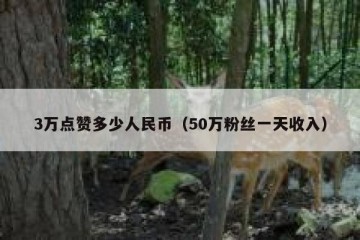 3万点赞多少人民币（50万粉丝一天收入）
