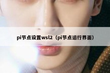 pi节点设置wsl2（pi节点运行界面）