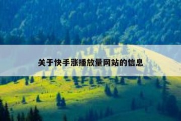 关于快手涨播放量网站的信息