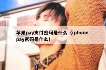 苹果pay支付密码是什么（iphone pay密码是什么）