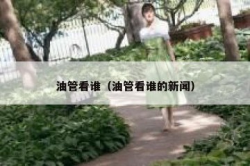油管看谁（油管看谁的新闻）