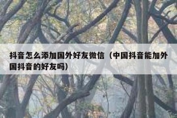 抖音怎么添加国外好友微信（中国抖音能加外国抖音的好友吗）