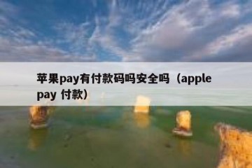 苹果pay有付款码吗安全吗（apple pay 付款）