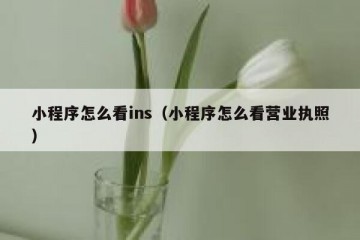 小程序怎么看ins（小程序怎么看营业执照）
