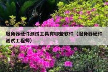 服务器硬件测试工具有哪些软件（服务器硬件测试工程师）