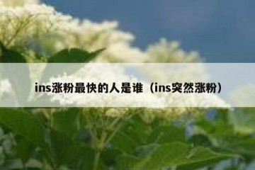 ins涨粉最快的人是谁（ins突然涨粉）