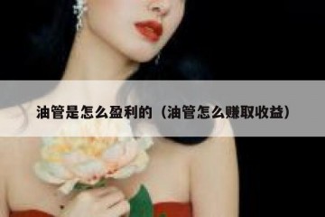 油管是怎么盈利的（油管怎么赚取收益）