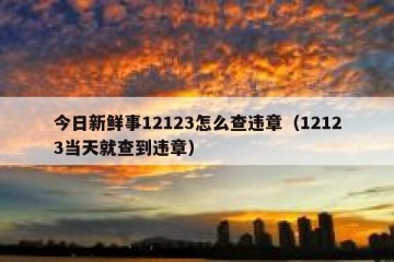 今日新鲜事12123怎么查违章（12123当天就查到违章）