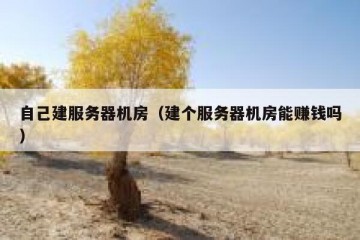 自己建服务器机房（建个服务器机房能赚钱吗）