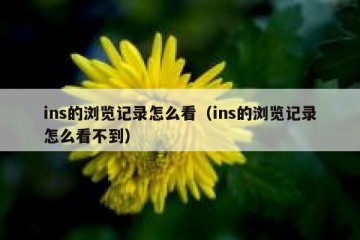 ins的浏览记录怎么看（ins的浏览记录怎么看不到）