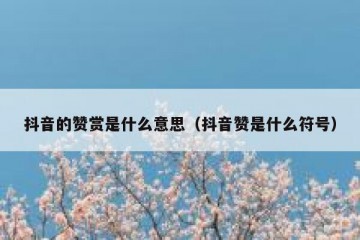 抖音的赞赏是什么意思（抖音赞是什么符号）