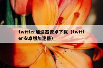 twitter加速器安卓下载（twitter安卓版加速器）