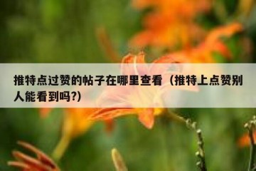 推特点过赞的帖子在哪里查看（推特上点赞别人能看到吗?）
