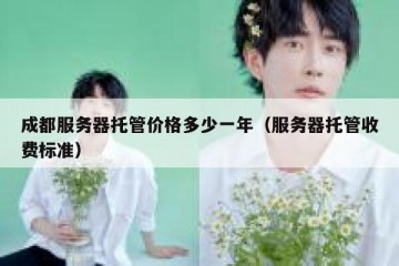 成都服务器托管价格多少一年（服务器托管收费标准）